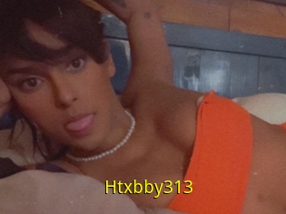 Htxbby313