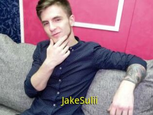 JakeSulii