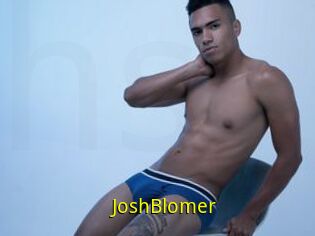 JoshBlomer