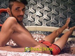 Joshua23cms