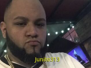 Junito313