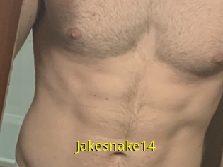 Jakesnake14