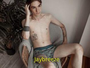 Jaybreeze