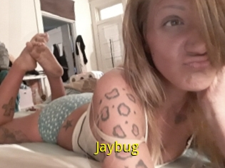 Jaybug