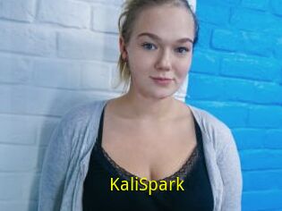 KaliSpark