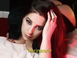 Karinanoir
