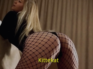 Kittekat