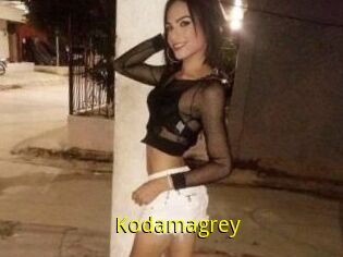 Kodamagrey