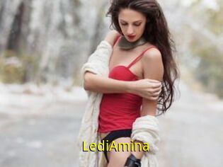LediAmina
