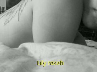 Lily_roseh