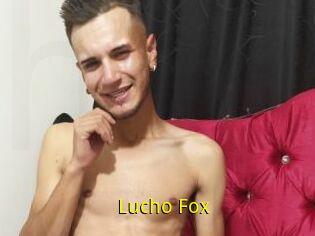 Lucho_Fox