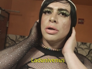 Ladanivenus