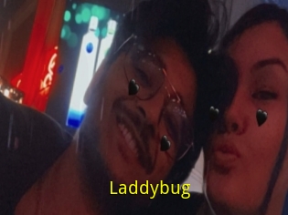Laddybug