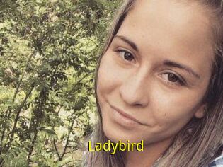 Ladybird