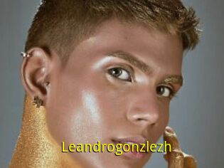 Leandrogonzlezh