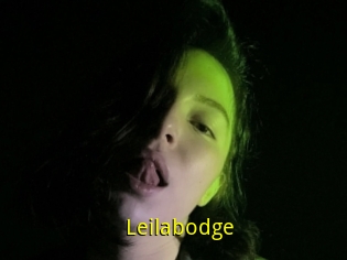 Leilabodge