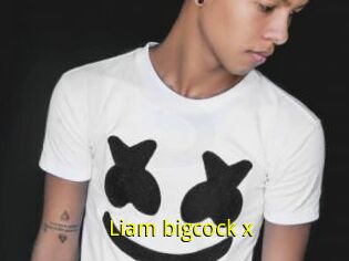 Liam_bigcock_x