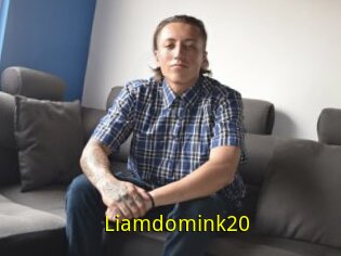 Liamdomink20