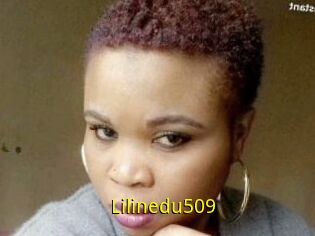 Lilinedu509