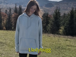 Lladybugg