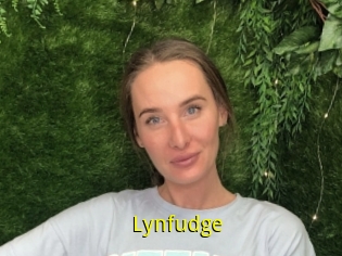Lynfudge