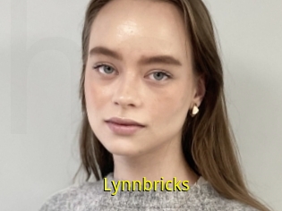 Lynnbricks