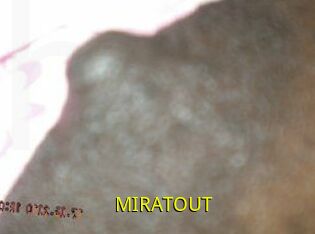 MIRATOUT