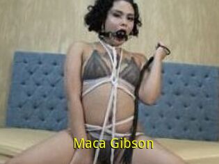 Maca_Gibson
