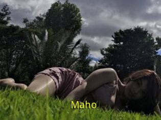 Maho