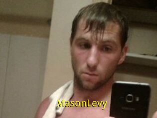 Mason_Levy