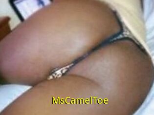 MsCamelToe