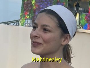 Malvinesley