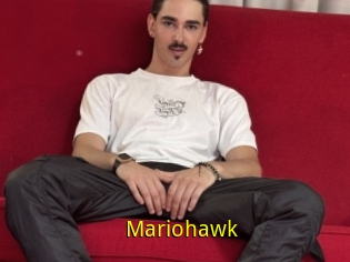 Mariohawk