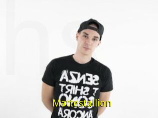 Mattestallion