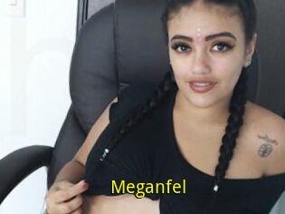 Meganfel