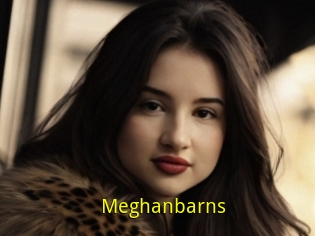 Meghanbarns