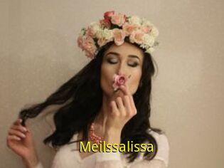 Meilssalissa