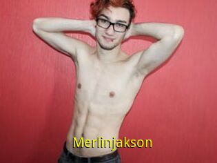 Merlinjakson
