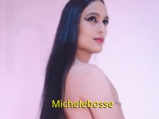 Michelebosse