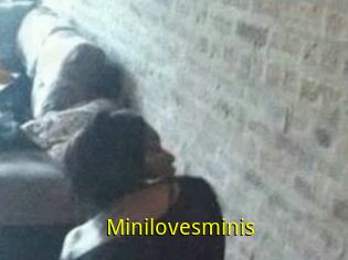 Minilovesminis
