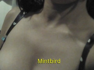 Mintbird
