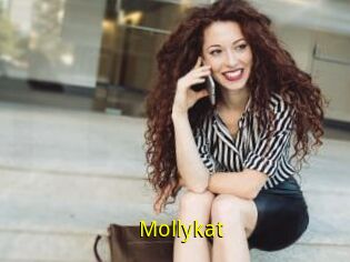 Mollykat