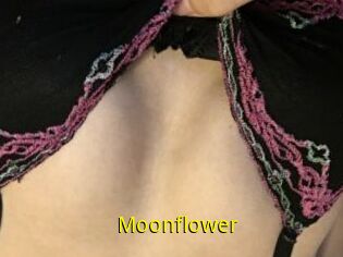 Moonflower