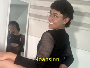 Noahsinn