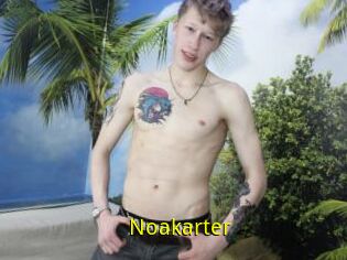 Noakarter