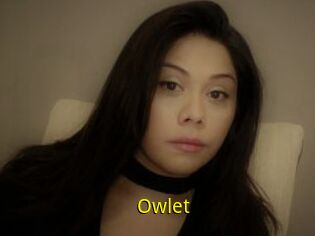 _Owlet_