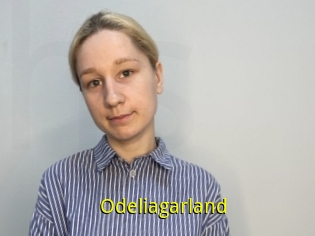 Odeliagarland