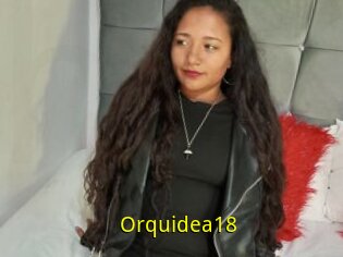 Orquidea18
