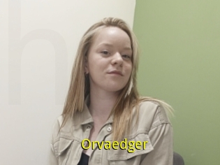 Orvaedger