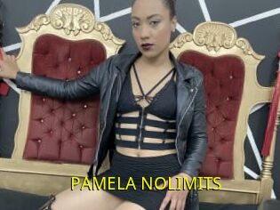 PAMELA_NOLIMITS